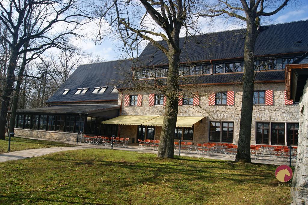 Cavallestro Classic Kitzingen