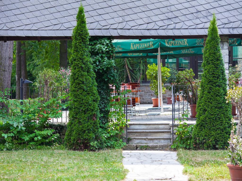 Cavallestro Classic Kitzingen